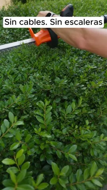 #VEVOR #HedgeTrimmer #CordlessTrimmer #SummerWins #DealsForYouDays