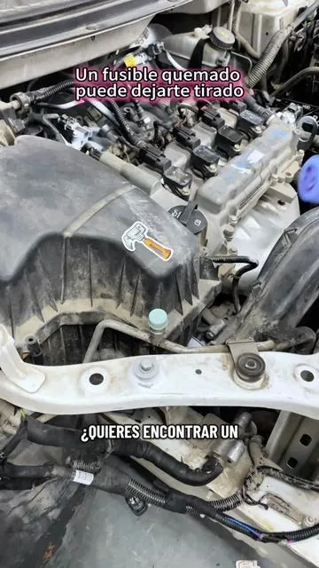 306 fusibles. Todos los tamaños que necesitas De 2A a 40A — listo para todo #FuseBox #CarRepair #caraccessories #viralproducts #coolgadgets