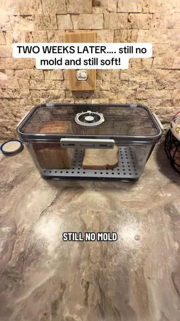 No more half-stale loaves shoved in the pantry. No more wondering when I bought it. No more plastic bread bags cluttering up my kitchen. The little date dial on top is such a simple feature, but it’s one of those things that just makes life easier. Sometimes it’s the small kitchen upgrades that end up becoming your favorite.  #breadbox #kitchenorganization #dealsforyoudays #kitchenfinds #freshbread 