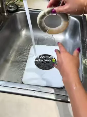 Every dog owner needs to see this 😳 #dogmom  #bigdogs  #bullymom  #dealsforyoudays  #SummerWins 