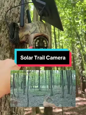 Solar trail camera for deer hunting @Rayking Direct #deerhunting #huntingtiktok #huntinggear #trailcamera #trailcam 