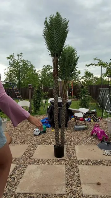 #dealsforyoudays #SummerVibes #palmtree #artificialpalmtree #backyardvibes 