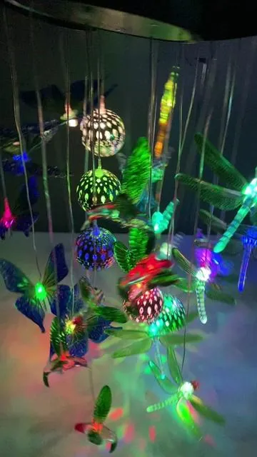 Yesss,they are so pretty and vibrant 😍😍😍#outdoors #solarwindchimelights #hummingbird #decor #lights 