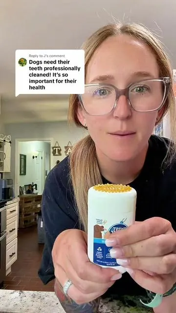 Replying to @J agree to disagree #tevra #twistandlick #dentalgel #dogteethcleaning #dogmusthaves 
