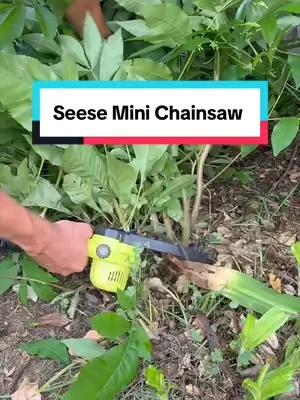 This mini chainsaw is one of my favorite yard tools. #chainsaw #seese 