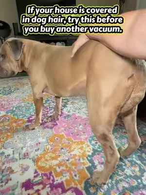 I wasn’t expecting this much fur to come off in one brushing session. If you’re constantly fighting dog hair, this is worth trying. #tiktokshop #DealsForYouDays #Summerwins #summeressentials #dogproducts