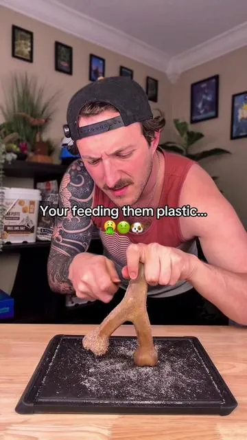Stop giving your dog plastic toys to chew on to keep them busy! #tiktokshopcreatorpicks #dealsforyoudays #dog #dogtreats #dogenrichment 
