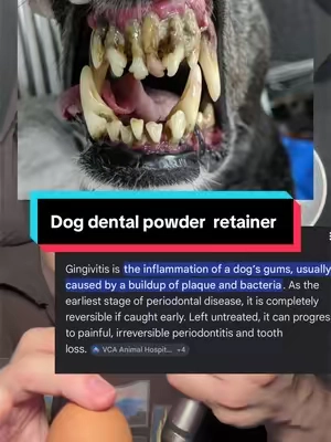 It’s super important to care for your dogs teeth! #pethonesty #pethonestypartner @Pet Honesty 