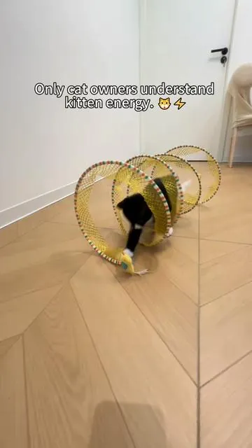 #DealsForYouDays #catmom #catlover #cattoys #catsoftiktok 