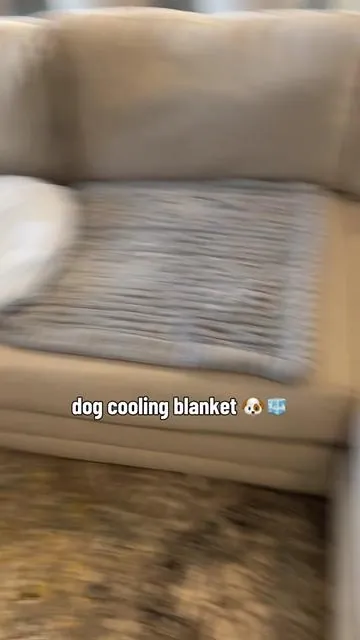 this dog blanket is actually cold! #dogcoolingblanket #dogaccessories #dogparents #dfyd #dealsforyoudays 