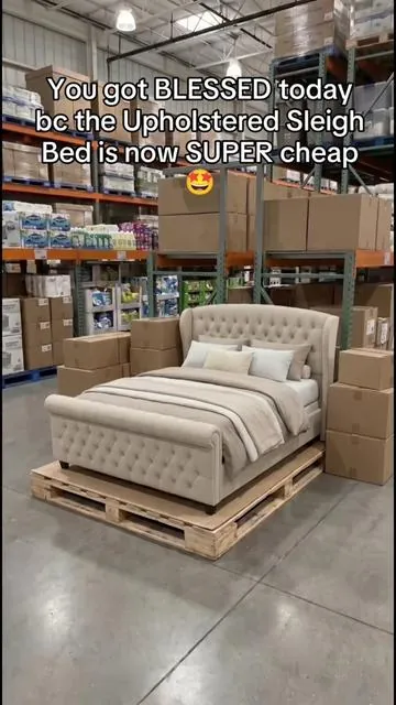 7653633462569684238