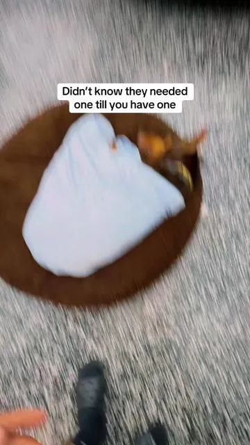 He looks for this blanket every day now 😭  #DealsForYouDays #SummerWins #TiktokShopStockUp #bedsure #coolingblanket 