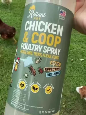 Poultry owners, this is one you’ll want to keep on hand.  #dealsforyoudays #tiktokshopcreatorpicks #backyardchickens #chickenkeeping #homesteadlife
