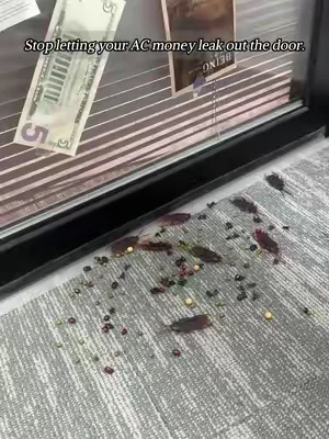 Stop cooling the neighborhood, bro! 🥵 
 Lock the AC in and keep bugs out with this weather stripping. 
 Dummy-proof 2-minute install. 
 Flash sale + FREE shipping right now! Grab yours below 👇🛒 
 #homehacks #weatherstripping #savingmoney #dadhacks #diyhome