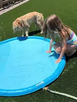 The splash pad your kids AND your dogs will be obsessed with this summer! 🐶💦☀️ The perfect size for backyard fun and a great way to stay cool on hot days. #SplashPadFun #SummerMustHave #DogMomLife #BackyardFun #familyfun 