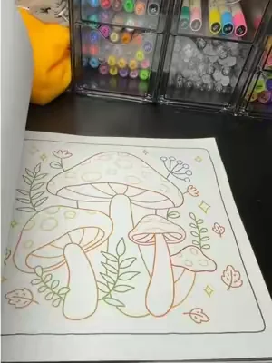 #coloringbook #adultcoloring #colorbynumber #crafttok #dealsforyoudays 