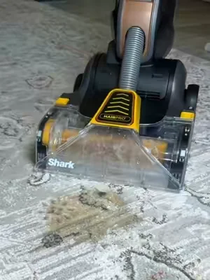 No more leaving those clumps of dog hair behind! #shark #sharkcarpetforce #carpetcleaning #stainremoval 