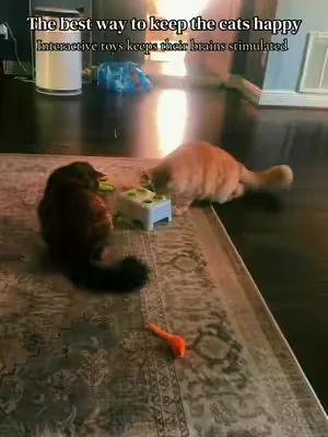 I just got this out of the package and they are already obsessed with this toy 