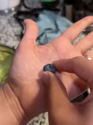 7653886564933618957