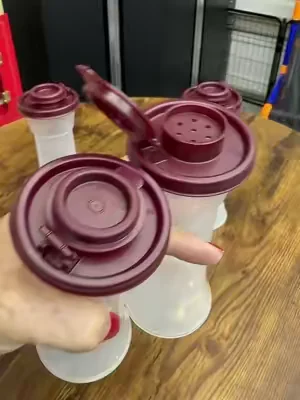 Keep your favorite spices organized and easy to grab with this Tupperware 4-piece Hourglass Seasoning Shaker Set. Perfect for everyday cooking, baking, and meal prep. #TupperwareKitchen #SeasoningShakers #tiktokshopcreatorpicks  #SummerVibes  #dealsforyoudays 