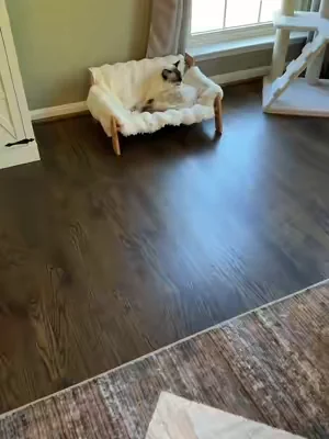 The cutest little spot for your furry best friend. I’m obsessed with the cozy cream fabric and wood details. #PetFurniture #DogMom #CatMom #HomeDecor #PetParents