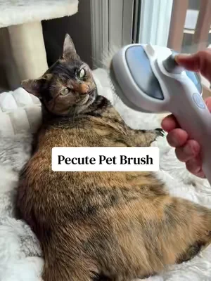 It’s shedding season, grab one before they sell out again! #dealsforyoudays #catbrush #shedding #cats #summervibes 
