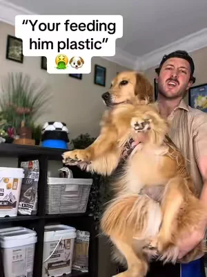 I had no idea these chew toys were plastic 😭 #tiktokshopcreatorpicks #dogs #dogsoftiktok #dealsforyoudays #puppy 