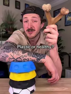 Stop giving your dog plastic when these are so much better! #tiktokshopcreatorpicks #dogs #dogsoftiktok #dealsforyoudays #puppy 