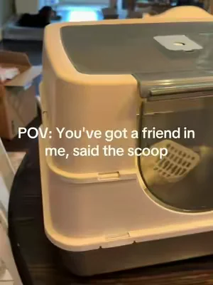 #cats #catsoftiktok #stainlesssteellitterbox 