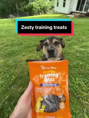 The moment this treat became the “game changer” command #tiktokshopcreatorpicks #dealsforyoudays #puppytraining #dogsoftiktok #dogslife 