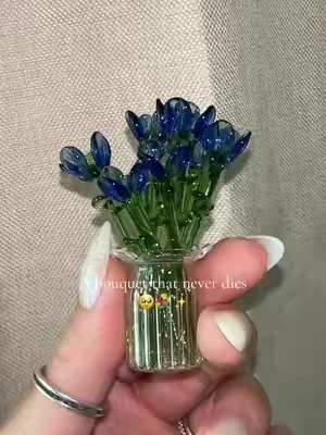 7653951886109707550