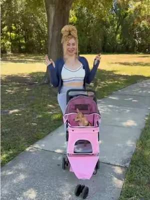 #petstroller #dogstroller #coche 