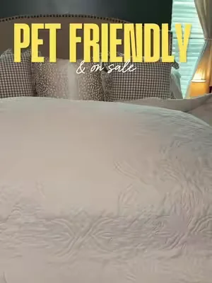 Lightweight bedding for hot sleepers that is pet friendly! #dealsforyoudays 
