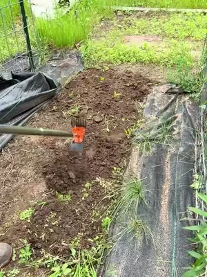 A great tool for the garden is the hole and weed puller combination made of steel. Click on the Orange shopping cart to get yours. ##dealsforyoudays##garden##hoe##tools