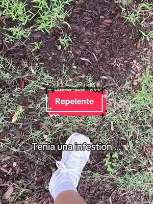 Huele rico y aparte espanta los insectos 🙌🏼😅 #repelente#repellent#insectos#fumigar#dealsforyoudays  