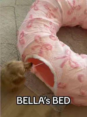She gets the zoomies the second I take out this bed is the cutest thing ever #dogbed #catbed #dogfinds #dogtoys #dealsforyoudays 