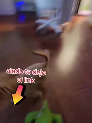 #tiktokshop #VIRALVIDEO #fyp #comodo para tus mascot y as