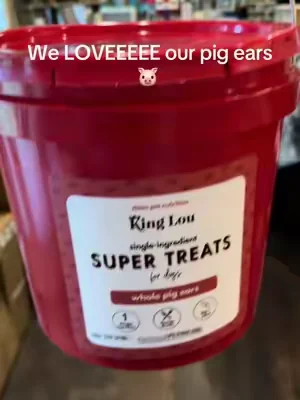 #kingloupets #dogs #dogsoftiktok #pigears @King Lou 
