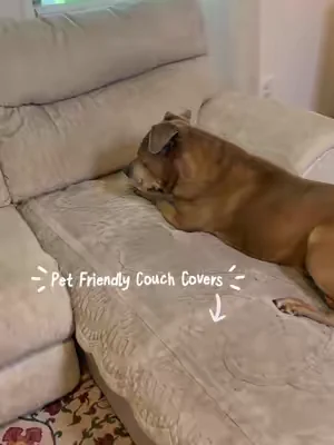 Cozy Blanket?! Nope it’s actually a pet friendly couch cover! #dealsforyoudays 