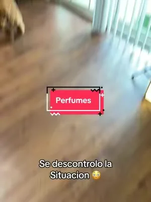 La verdad que todos los perfumes huelen demasiado bien 😅 #perfumes#perfume#perfumetok#perfumetiktok#dealsforyoudays 