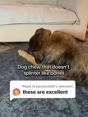 Replying to @pennyrush0 WOOF HonestChew meaty dog chews made with real beef outer layer, plant-based core, Y-shape design, and safer-than-rawhide chew texture for dogs who love to chew. #DogChews #DogTreats #DogOwners #WoofPet #DealsForYouDays 