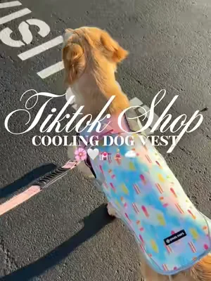 Cooling dog vest🌸🤍💒🧘🏼‍♀️☁️#fyp #dogclothes #dogclothing #dogaccessories #dogcoolingvest 