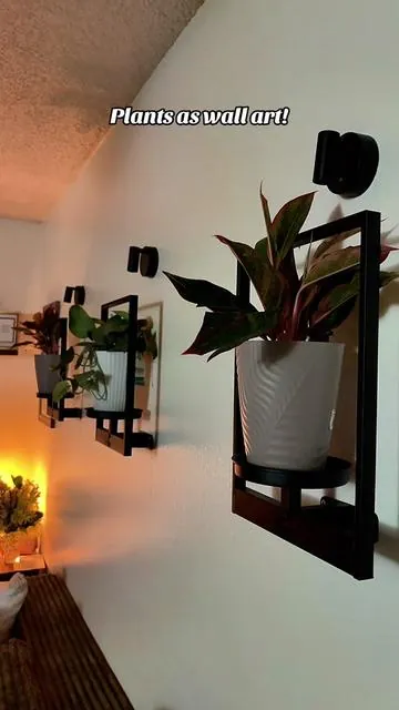 #walldecor #plants #homedecor ##summerwins 