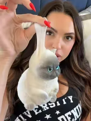 It feels so lifelike  #kittycat #StressRelief #fidgettoys #dealsforyoudays #summerfinds 