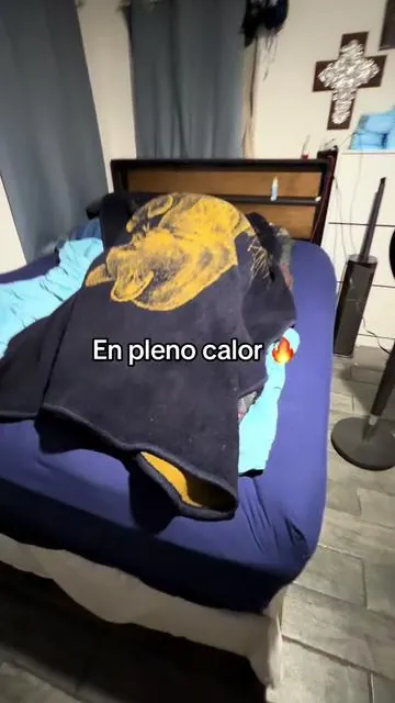 Abanico para el calorón #tecnomarko #abanico #dreo #dealsforyoudays 