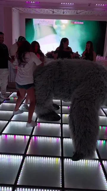 8.2 ft giant fashionable inflatable gorilla costume set with diamond design #gorilla #costume #birthdayparty #partyrentals #dealsforyoudays 