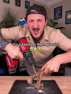 This is so gross #tiktokshopcreatorpicks #dogs #dogsoftiktok #dealsforyoudays #puppy 