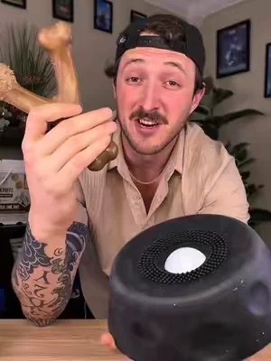 Why give your dog plastic instead of something they’ll actually like? #tiktokshopcreatorpicks #dogs #dogsoftiktok #dealsforyoudays #puppy 