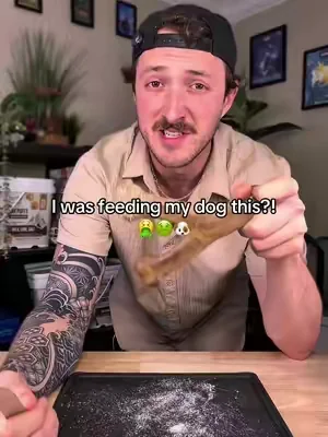 Plastic toys like this are so gross… #tiktokshopcreatorpicks #dogs #dogsoftiktok #dealsforyoudays #puppy 