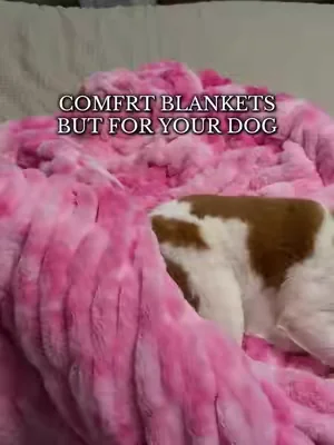 The @Comfrt Dream Cloud Pet Sofas were out of stock for so long but are finally back! Keeps the hair off my couch and keeps her comfy! #comfrt #comfrtdreamerblanket #dogbed #petbed 